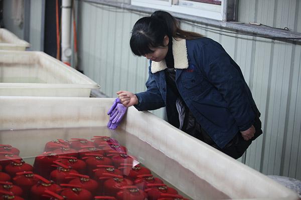 SAFEWAY DC01 Abc 6kg เครื่องดับเพลิง CE Approved Red ใช้งานง่าย 10